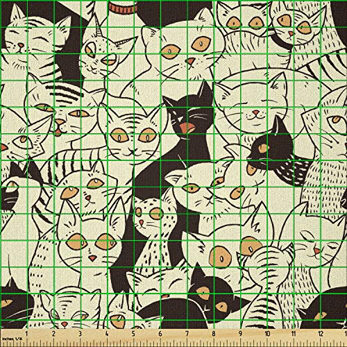 View 3