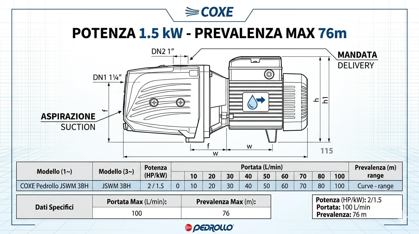 COXE Pedrollo JSWM 3BH Pompa Autoadescante Elettrica 2 HP, Elettropompa Centrifuga in Ghisa per Irrigazione e Autoclave, Portata 100 L/min, Prevalenza 76m, Monofase 220V