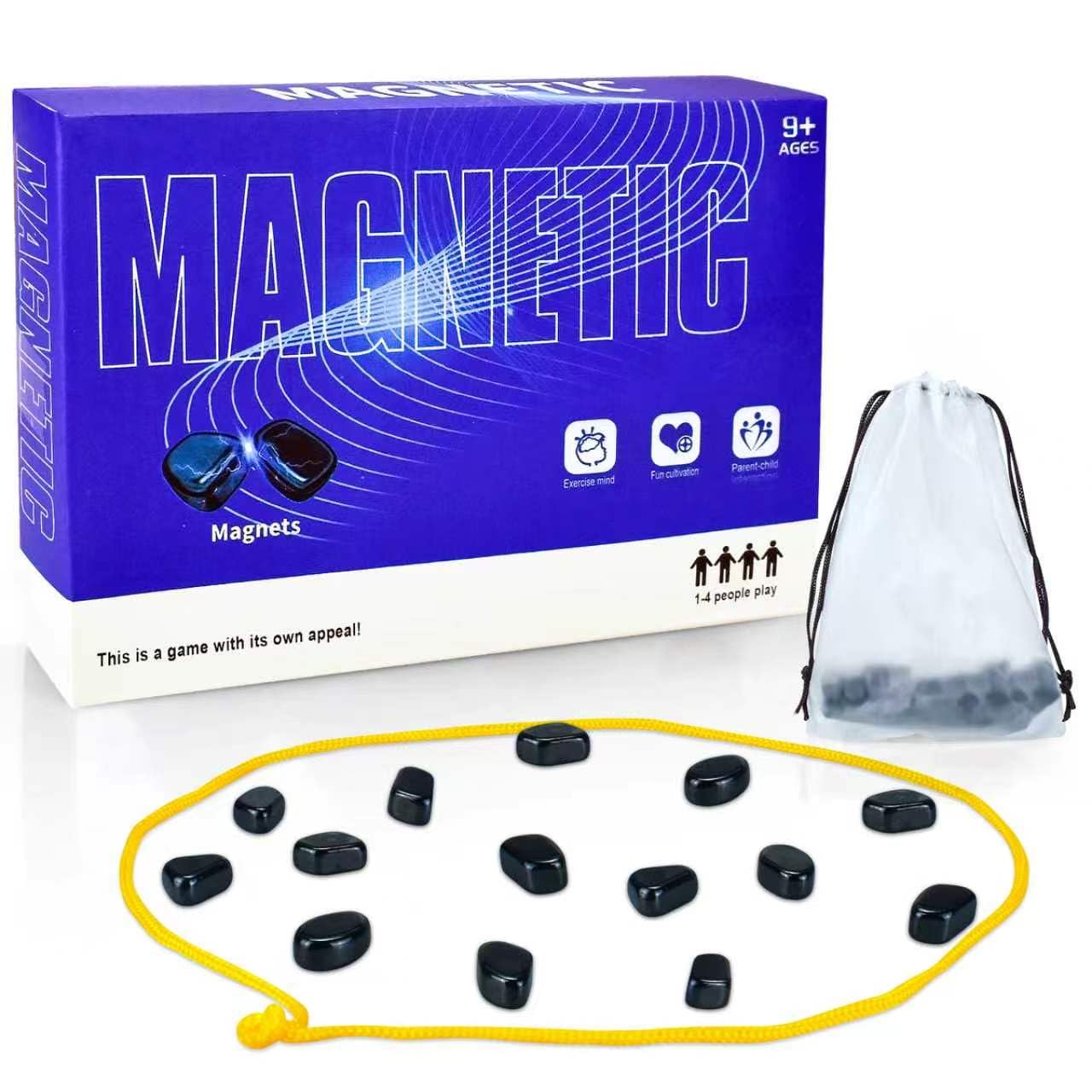 Magnetic Chess Game - Educational Training Board Game for Teenagers and Adults - Portable Magnet Game（Contains 24 Magnets）, Perfect for Family、Party & Travel Fun