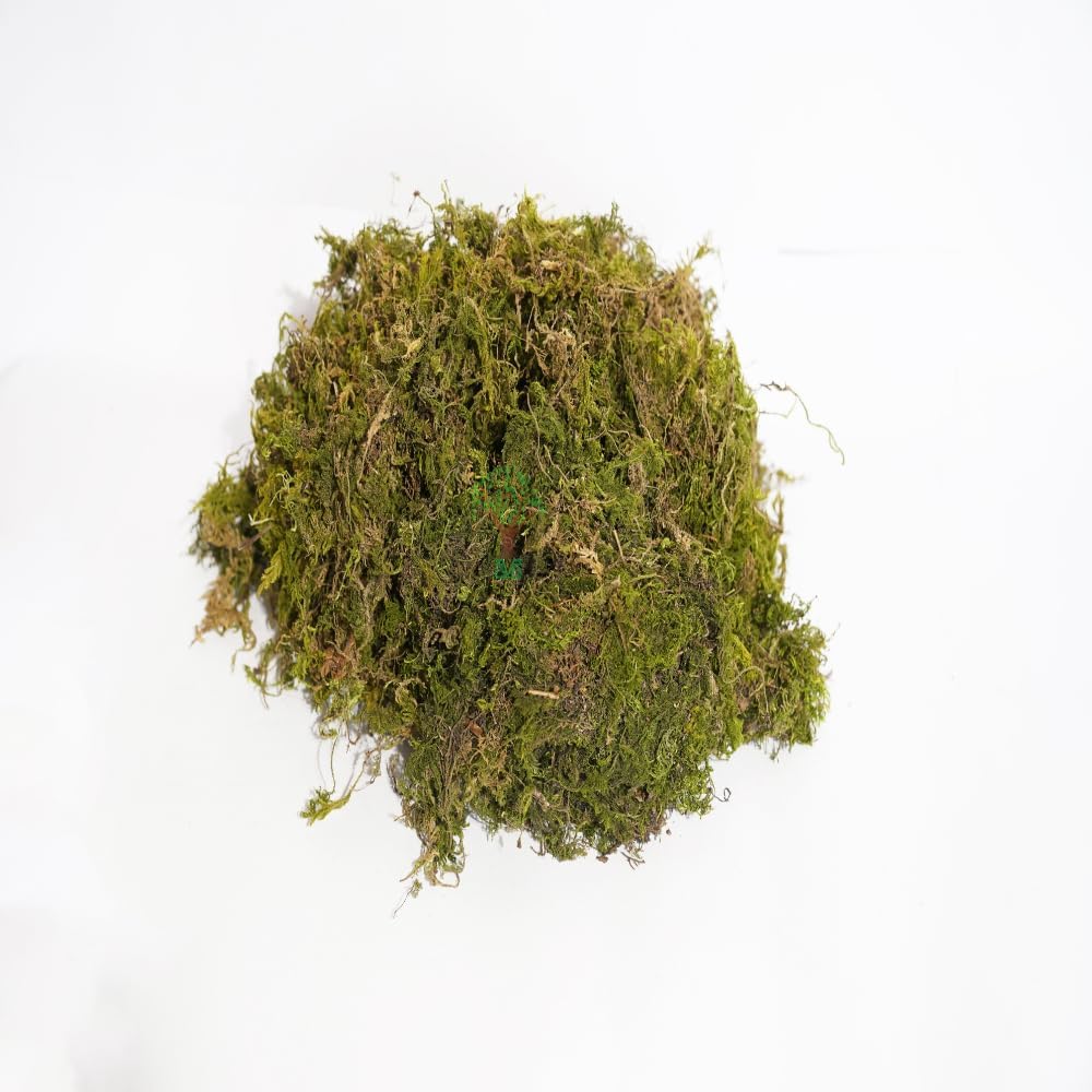 Dr. Arya's Natural Dried Moss Grass 1.5kg | Preserved For Pots With The Nice Green Appearance For Home and Garden - 1.5kg
