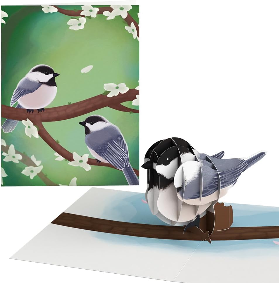 Lovepop Spring Bird Pack (Assorted 12-Pack) Pop-Up Card for Her and Him - 3D Everyday Greeting Cards for Boys, Girls, Men, Women - 4.5" x 5.9" Paperpop Card - Envelope Included