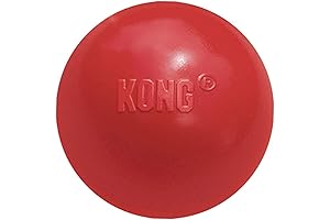KONG Extreme Ball Red Medium / Large