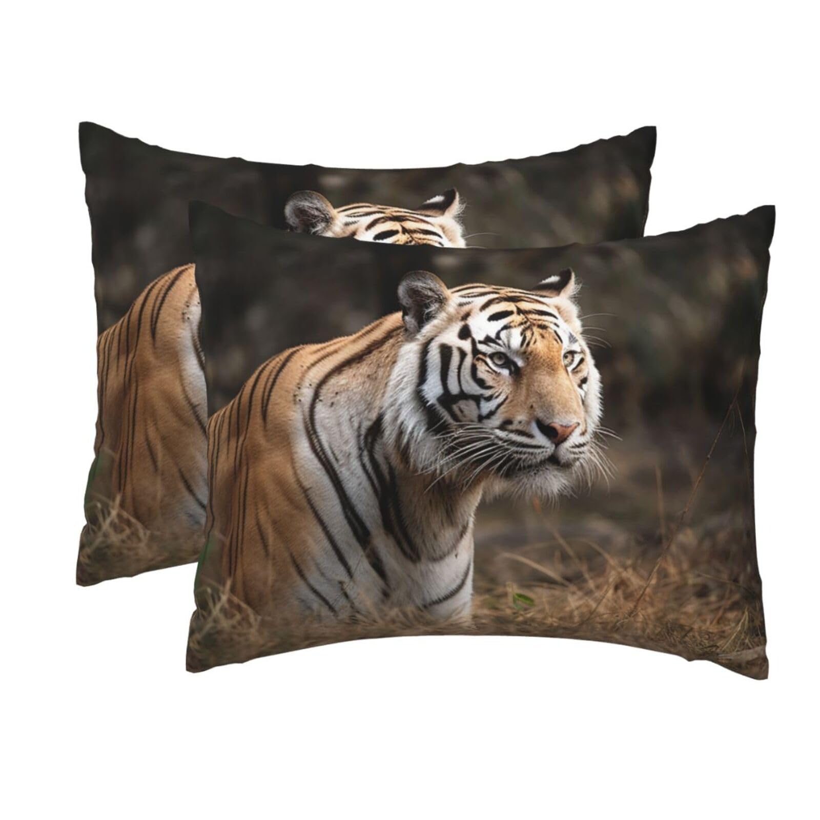 2 Pack Standard Pillow Cases with Hidden Zipper, Soft Breathable Pillow Covers for Hair and Skin, Wildlife Tiger Pillowcases 20"x26" Bed Pillow Protectors Cover for Sleeping Gifts