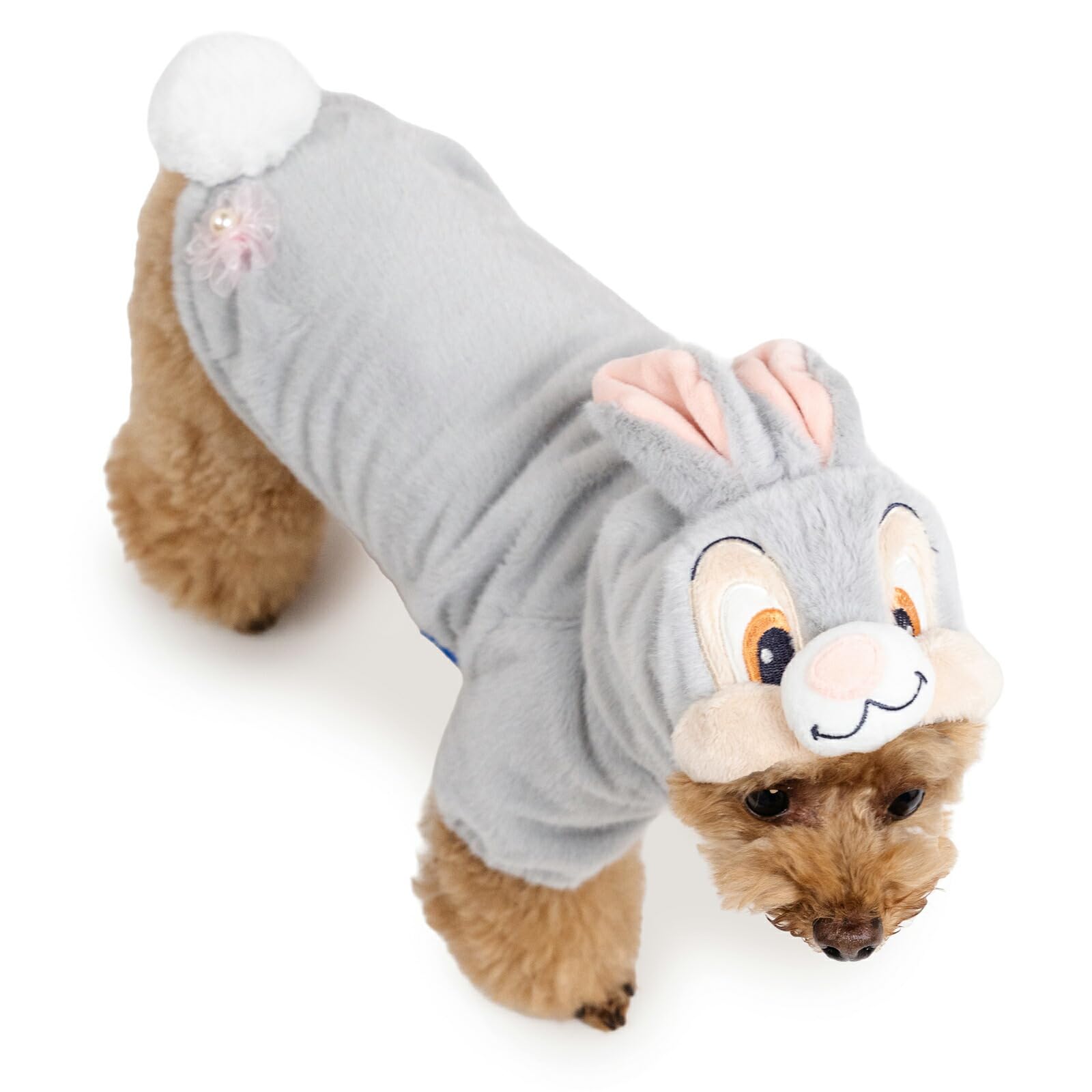 犬服 ribbonbon୨୧ ハンドメイド 犬服 ribbonbon୨୧ ハンドメイド