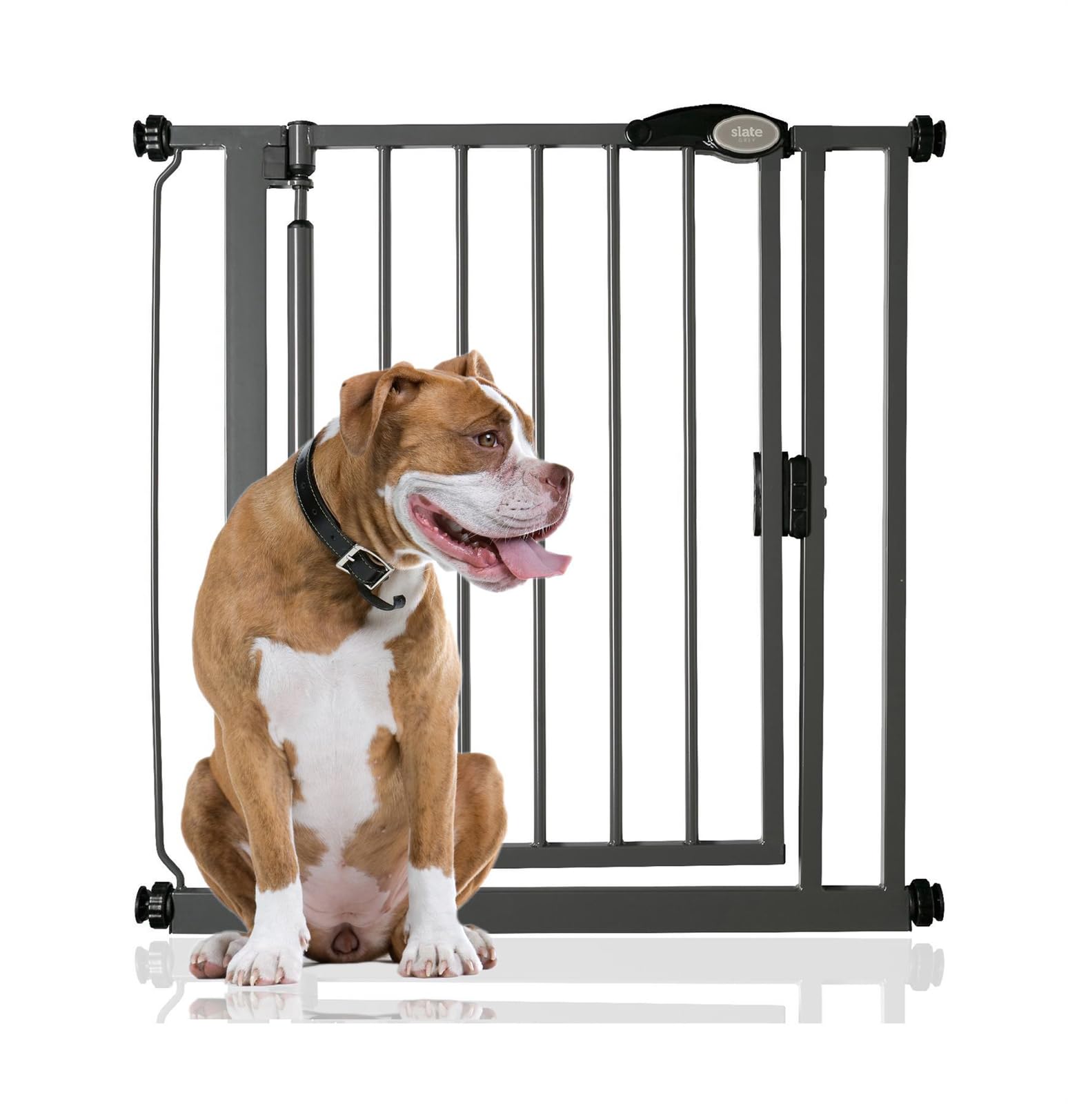Bettacare Auto Close Pet Gate82.2Cm89.2CmSlate GreyPressure Fit Stair Gate For Dog & Puppy from B&Q