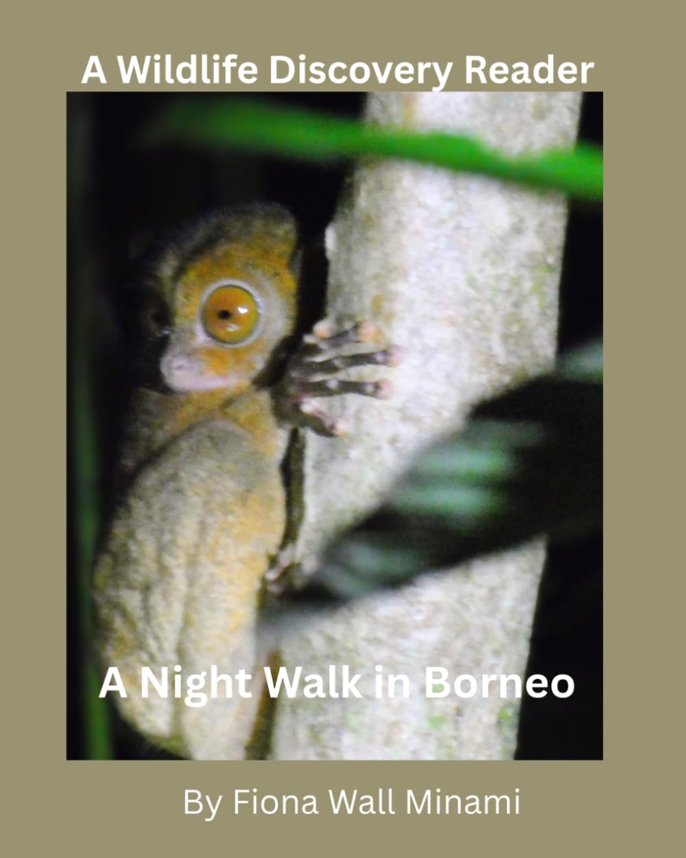 A Night Walk in Borneo: A Wildlife Discovery Reader