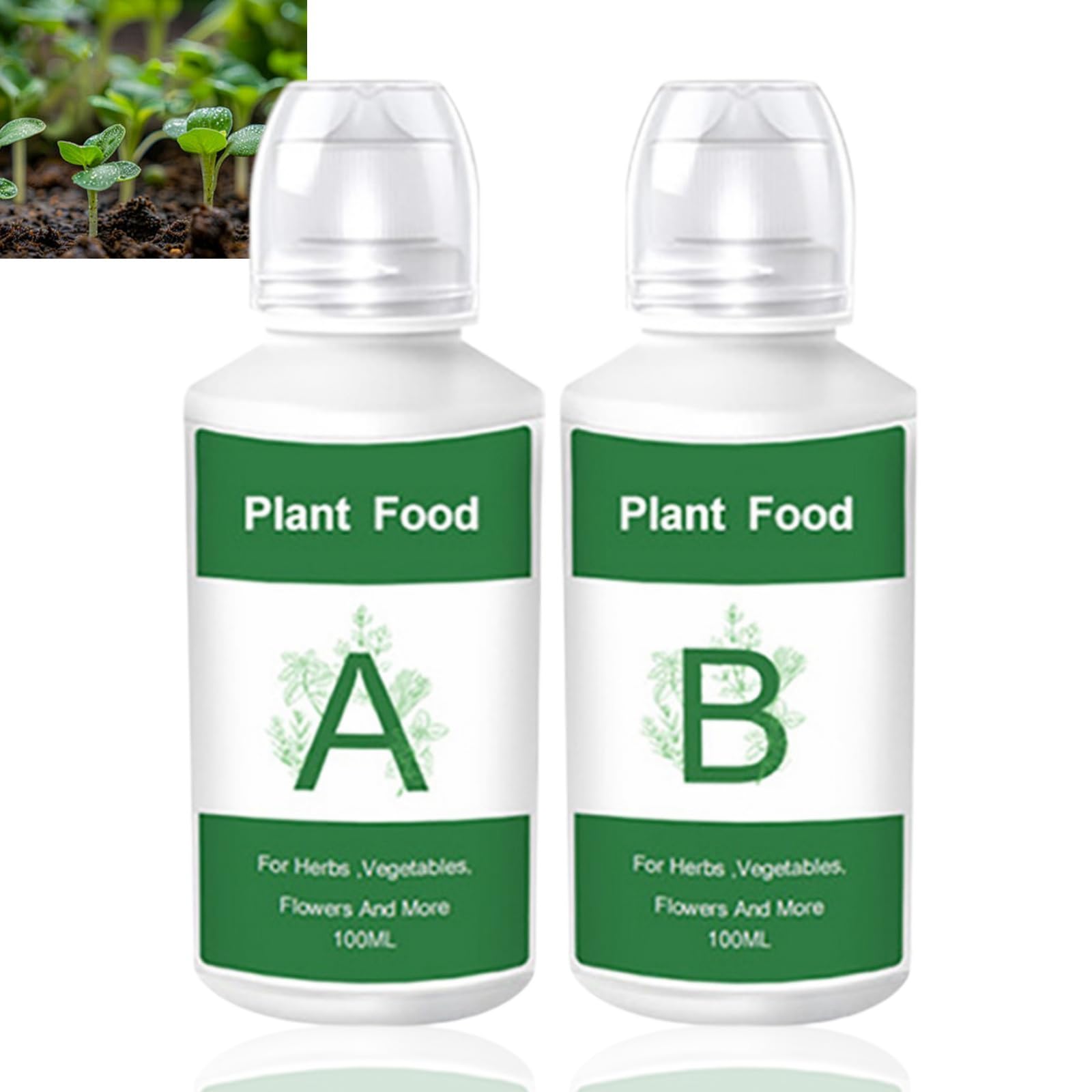 Hydroponic Liquid Plant Food A & B Nutrients,Liquid Fertiliser for Indoor Plants,House Plant Food & Hydroponic Growing System,Bonsai Fertiliser & Vegetable Growing Nutrients,House Plant Food Indoor