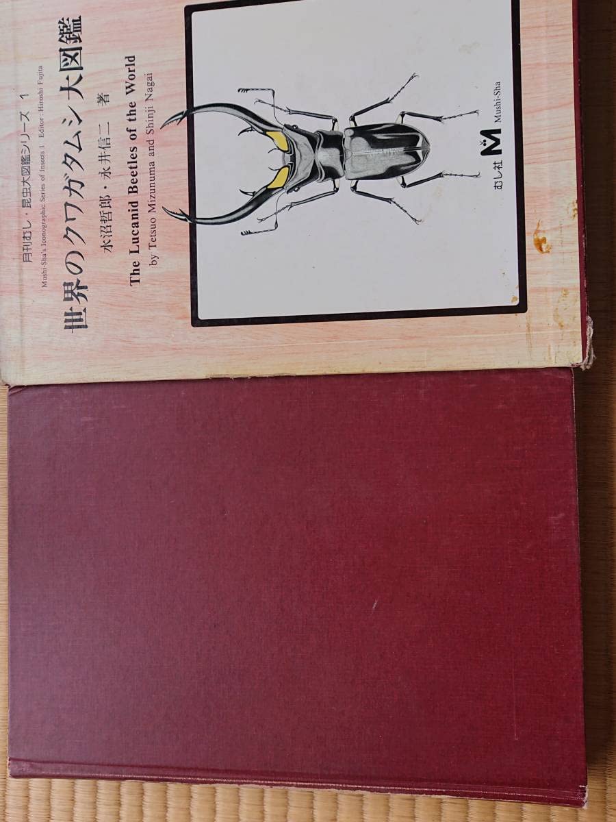Amazon | 世界のクワガタムシ大図鑑 むし社 | 生態・採集 | おもちゃ