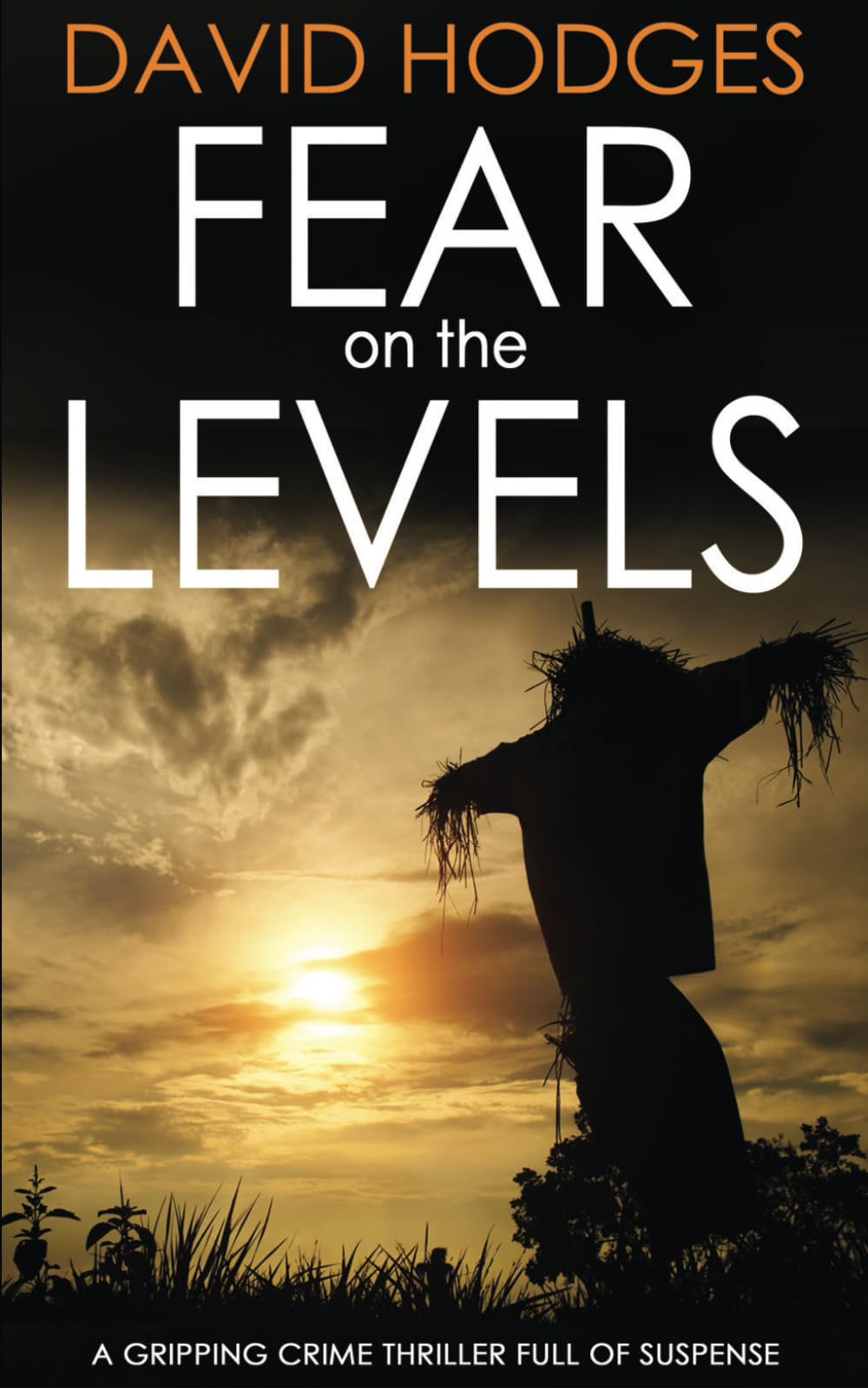 FEAR ON THE LEVELS a gripping crime thriller full of suspense (Detective Kate Hamblin Mystery)