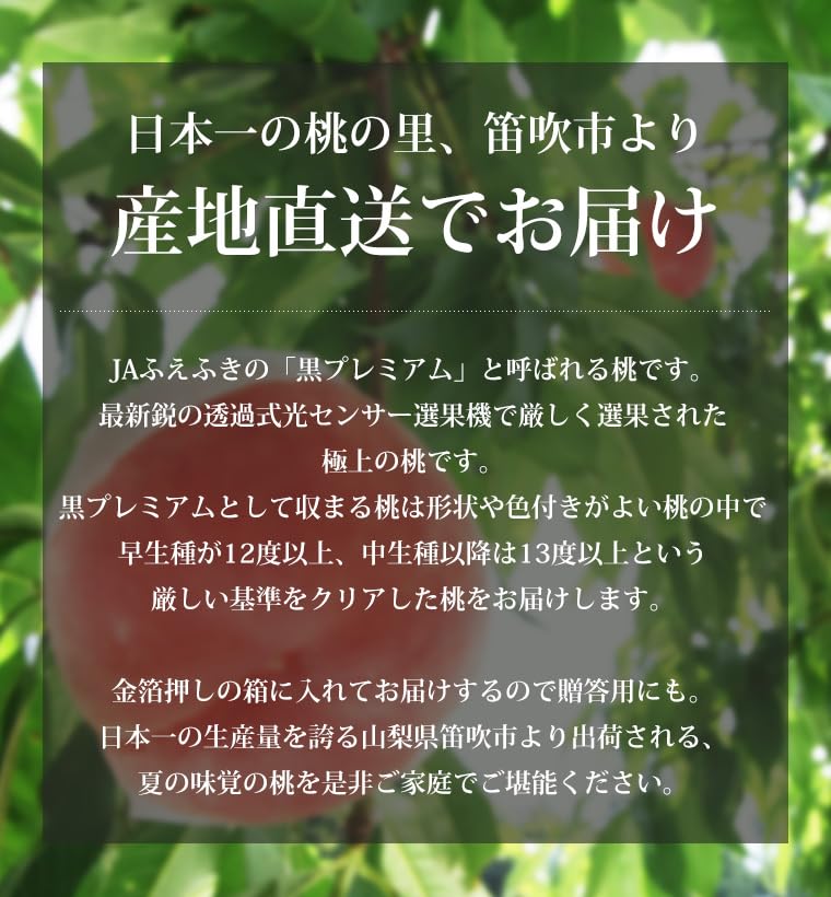 Amazon.co.jp: 桃 一宮 黒プレミアム 特秀品 約5kg 12～20玉 JAふえ