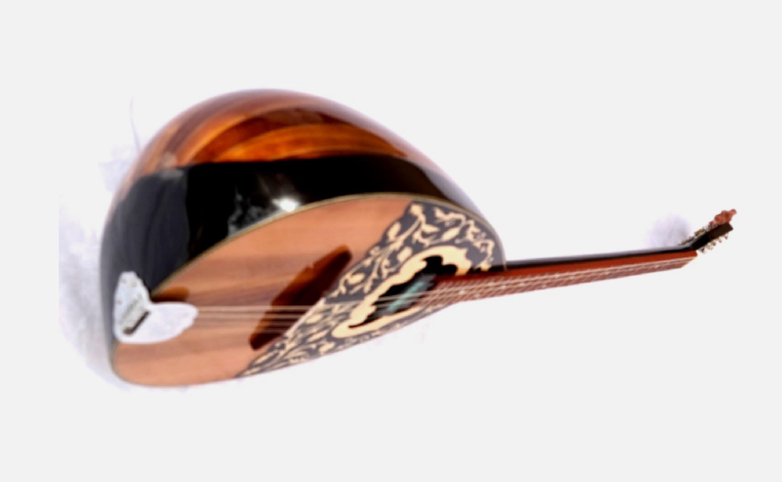 Acoustic Greek Bouzoukis With Mastex Pickup W/Truss Rod yp1