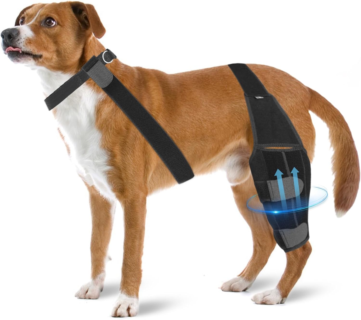 Dog Knee Brace for Torn Acl Hind Leg, Adjustable Dog Back Leg Acl Knee Brace for Cross Ligament Arthritis Relief Joint Stability Injury Recovery
