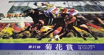 Amazon.co.jp: 菊花賞ゴール 優勝馬 ダンスインザダーク 騎手 武豊 JRA