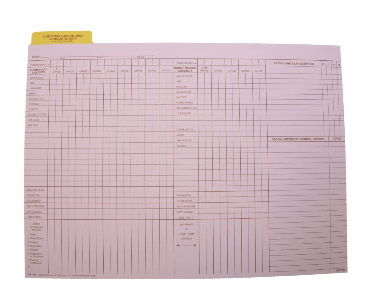 Hammond & Stephens Data Insert for Cumulative Record Folder, 9 x 11-3/4 Inches, Set of 25