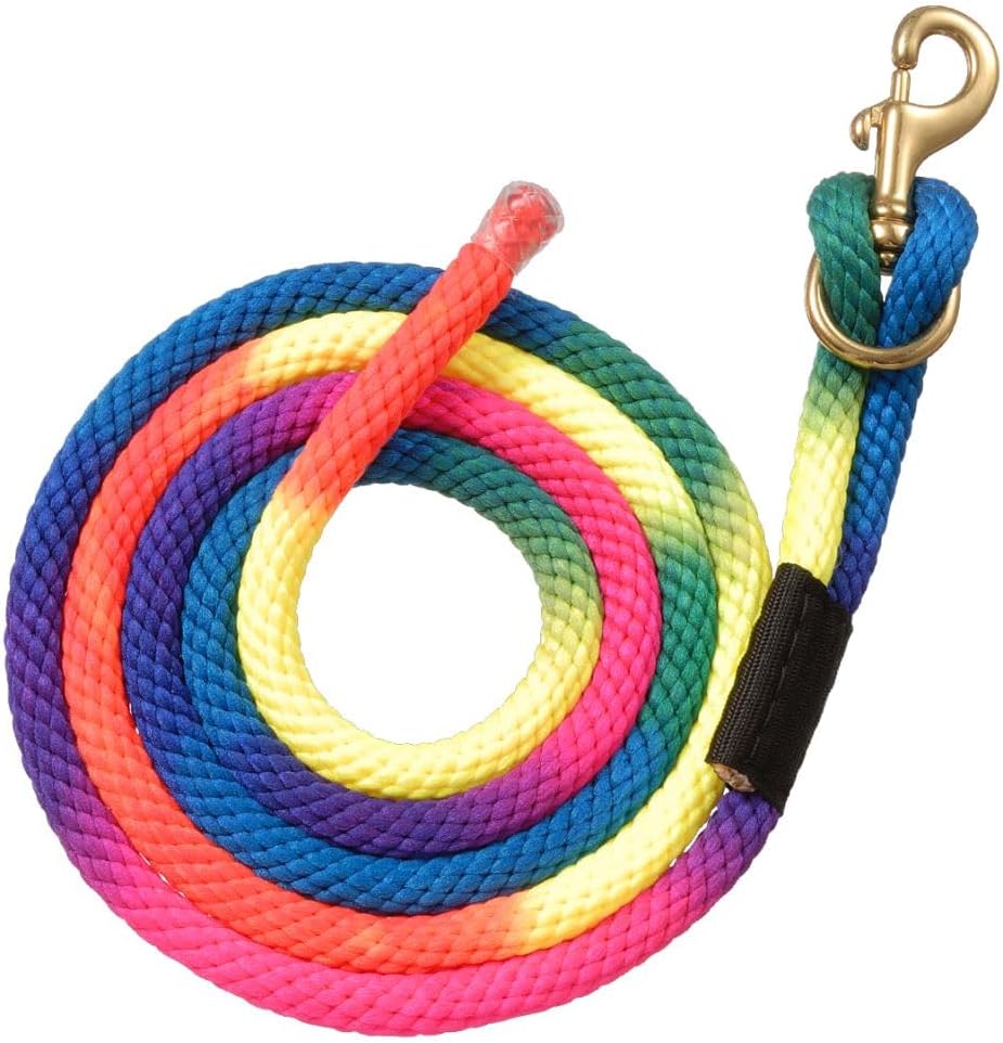 Tough 1 Nylon Rainbow Lead with Replaceable Bolt Snap - Rainbow