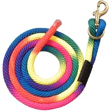 Tough 1 Nylon Rainbow Lead with Replaceable Bolt Snap - Rainbow