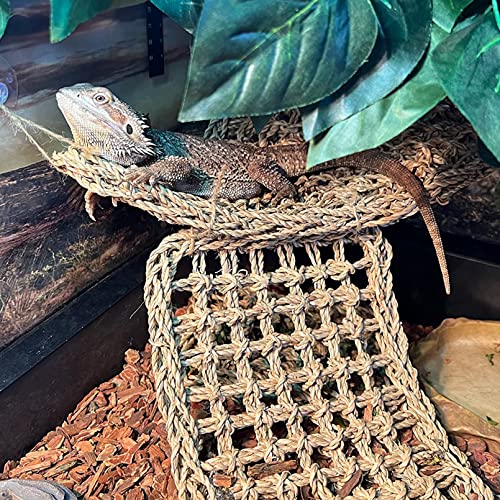 Image of Seagrass Hammock for Bearded Dragon,Large Reptile Hammock with Suction Cups Lizard Lounger Bed Jungle Climber Vines Chameleon Terrarium Habitat Decor for Bearded Dragons,Geckos,Snakes