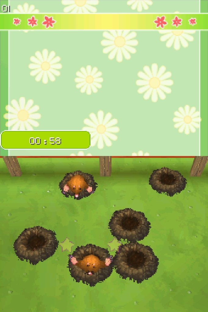 Let's Play Garden - Nintendo DS : Video Games