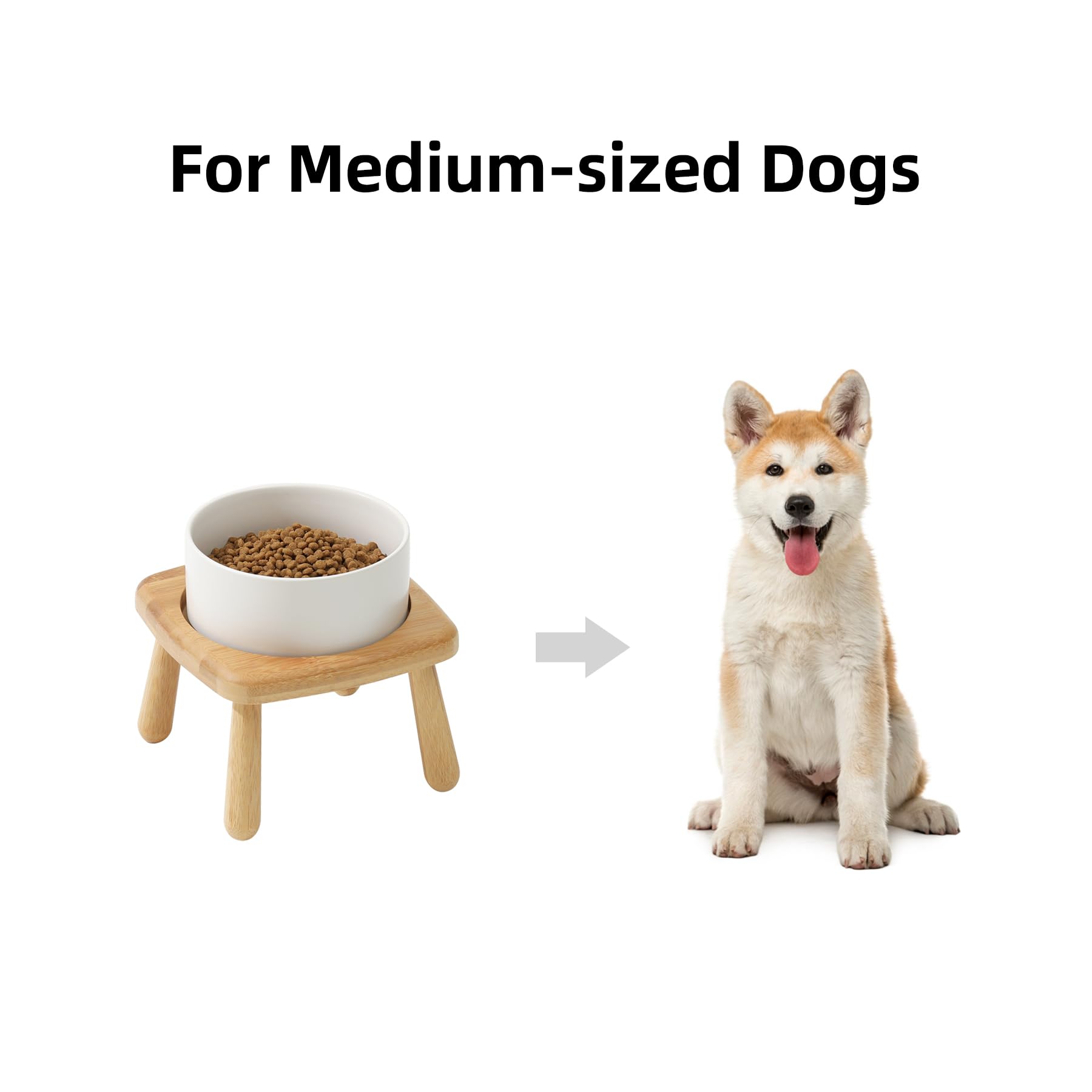 https://m.media-amazon.com/images/I/61Ix95zvt5L.jpg