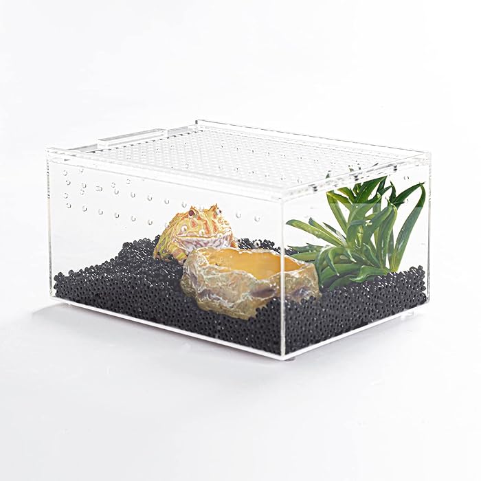 Buy REPTI ZOO Acrylic Reptile Enclosure, 8x6x4 Inch Flat Long