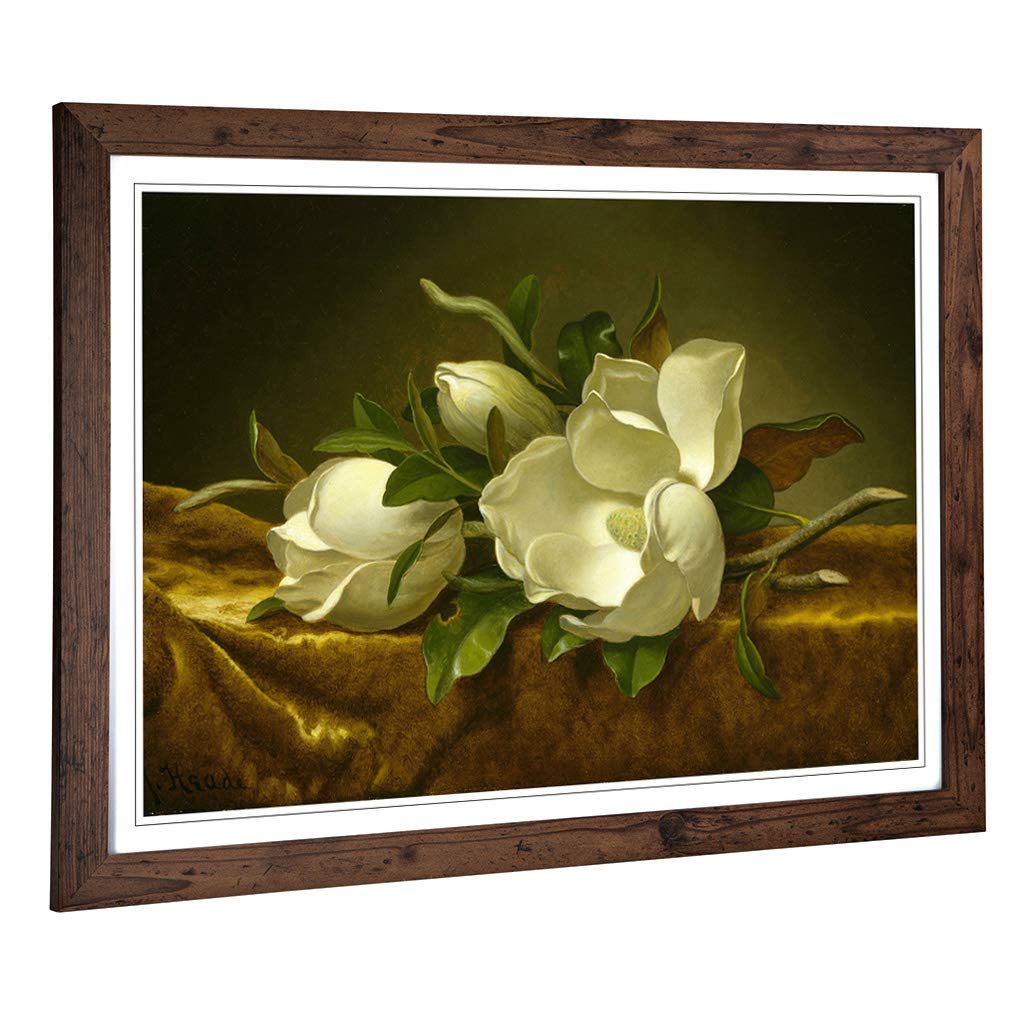 Big Box Art Framed Print of Martin Johnson Heade Magnolias Design | Wall Art Picture | Home Decor for Kitchen, Living, Dining Room, Bedroom, Hallway, Office, Walnut, A2 / 24.5x18 Inch / 62x45cm