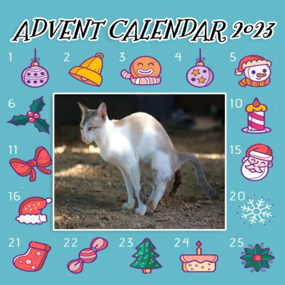 Advent Calendar 2023: Crapping Animals - 25 Days Christmas Countdown Calendar - Surprise Gift Christmas Day for friends adults & more.