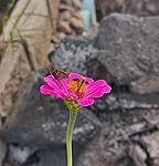 Review Image by Nancy Hdz Nancy Hdz