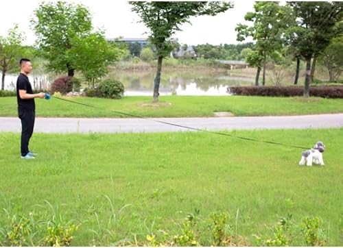 Guia Retrátil Coleira Para Pet Cachorro Cães Gatos, 5 Metros Com Trava De Segurança, Coleira Retráti