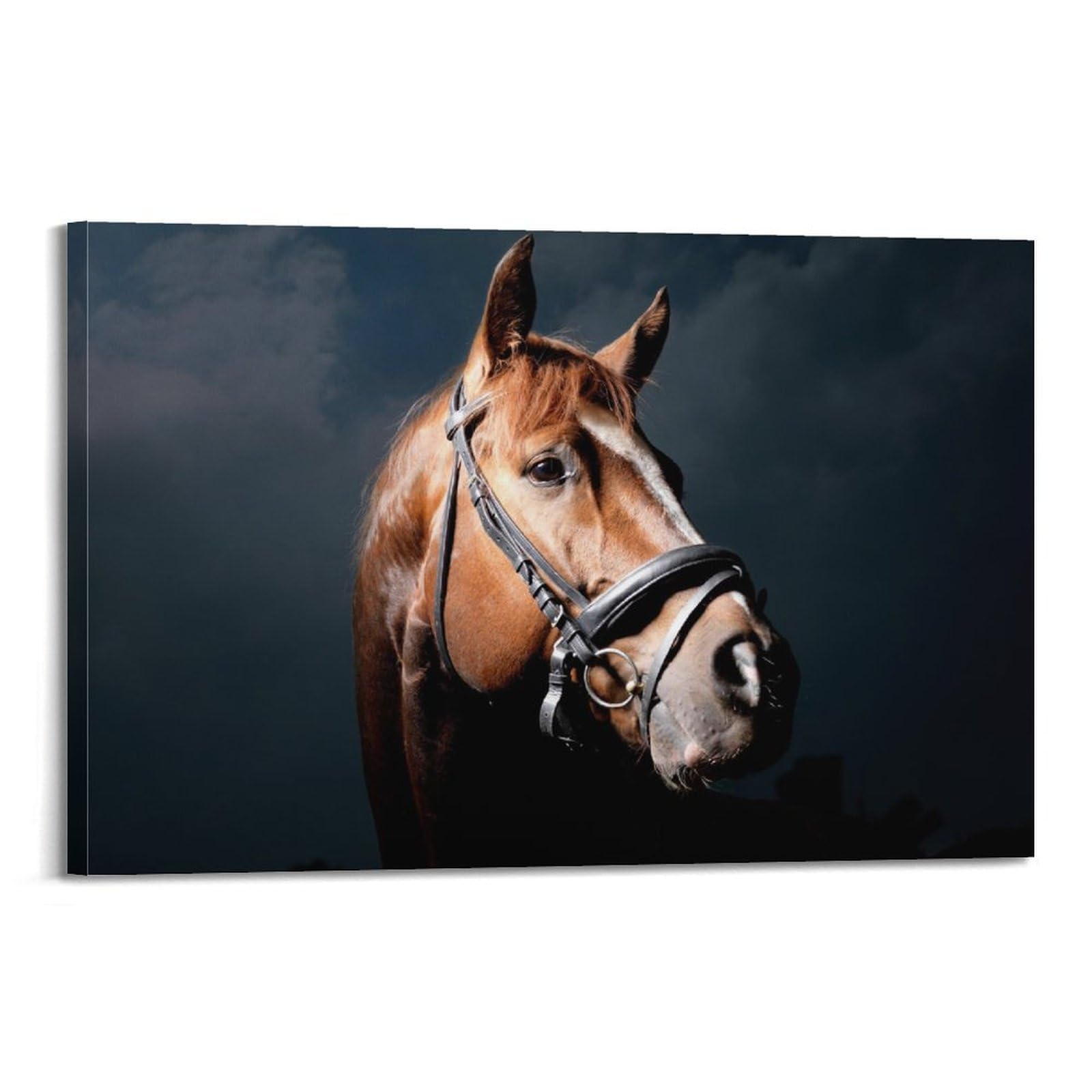 JTLFXY Animal Poster Brown Horse Poster Decorative Painting Canvas Wall Posters And Art Picture Print Modern Family Bedroom Decor Posters 20x30inch(50x75cm)