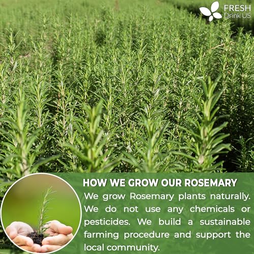 Image of Premium 20oz Rosemary Leaves, 100% Natural & Pure from Dried Rosemary Leaves, No Additives, No Caffeine, Vegan. Dried Rosemary Herb, Perfect for Seasoning, Spice Blends for Grilling & Cooking