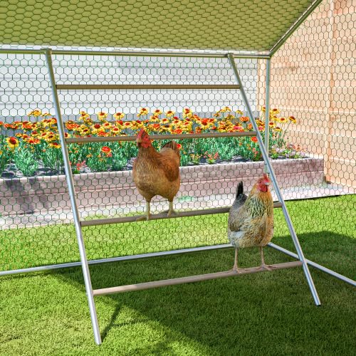 Gallinero con escalera de asiento – 3 x 2 m transitable aviario con cubierta de polietileno UV y cerradura de seguridad, para palomas y gallinas
