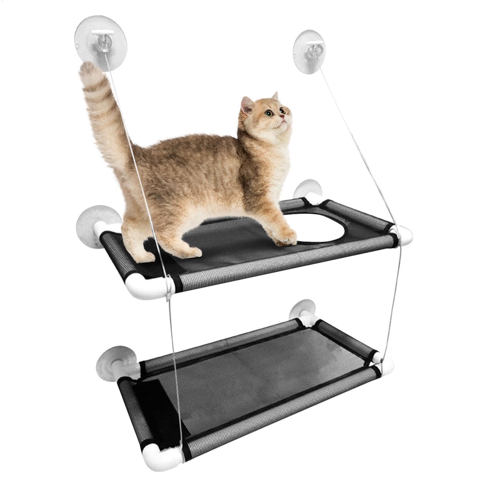 Katzen Fensterbett Saugnapf