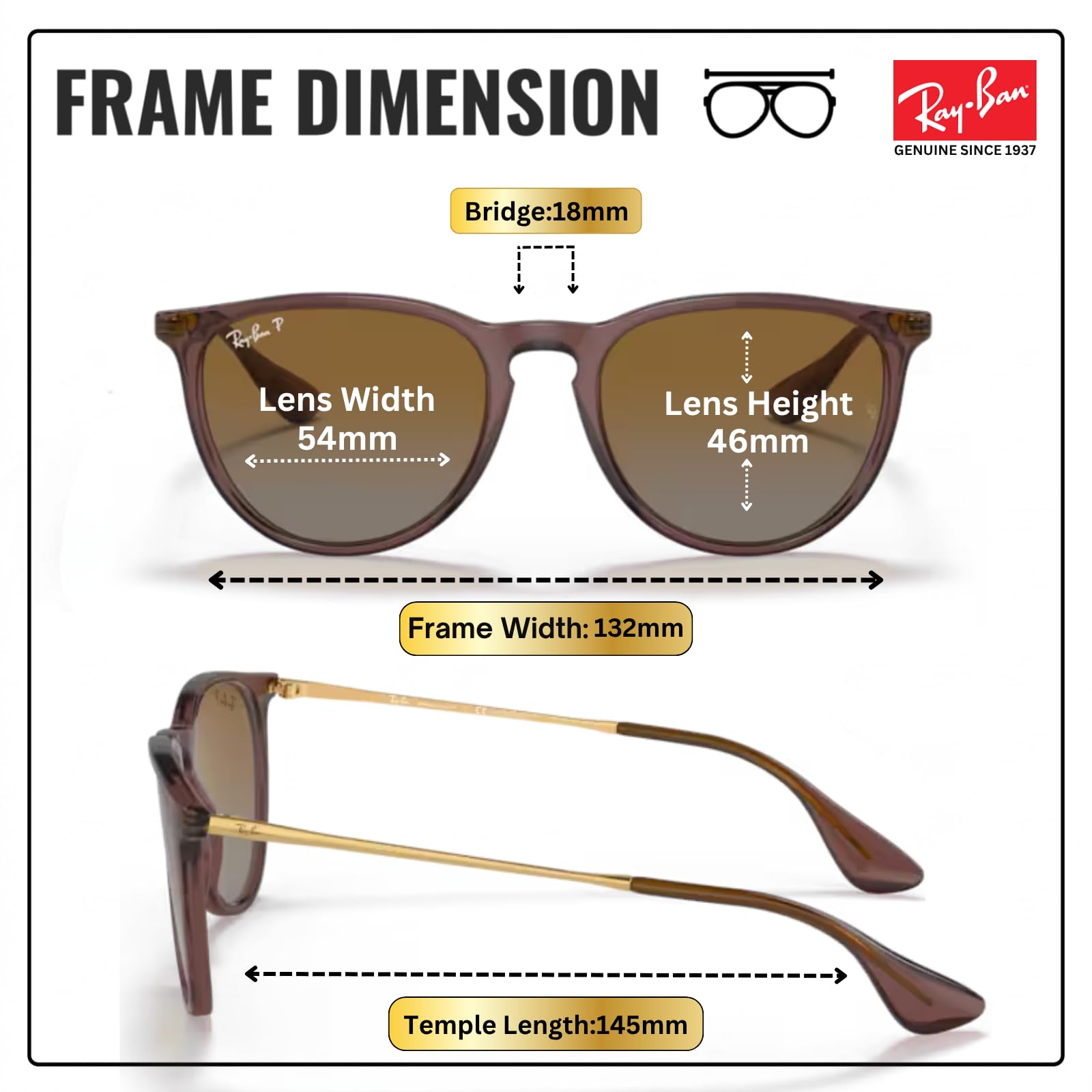 Ray-Ban RB4171 Erika Panto-Classic okulary przeciwsłoneczne, zestaw okularów | ekskluzywne etui i zestaw do pielęgnacji | Polished Transparent Dark Brown/Polarized Brown Gradient