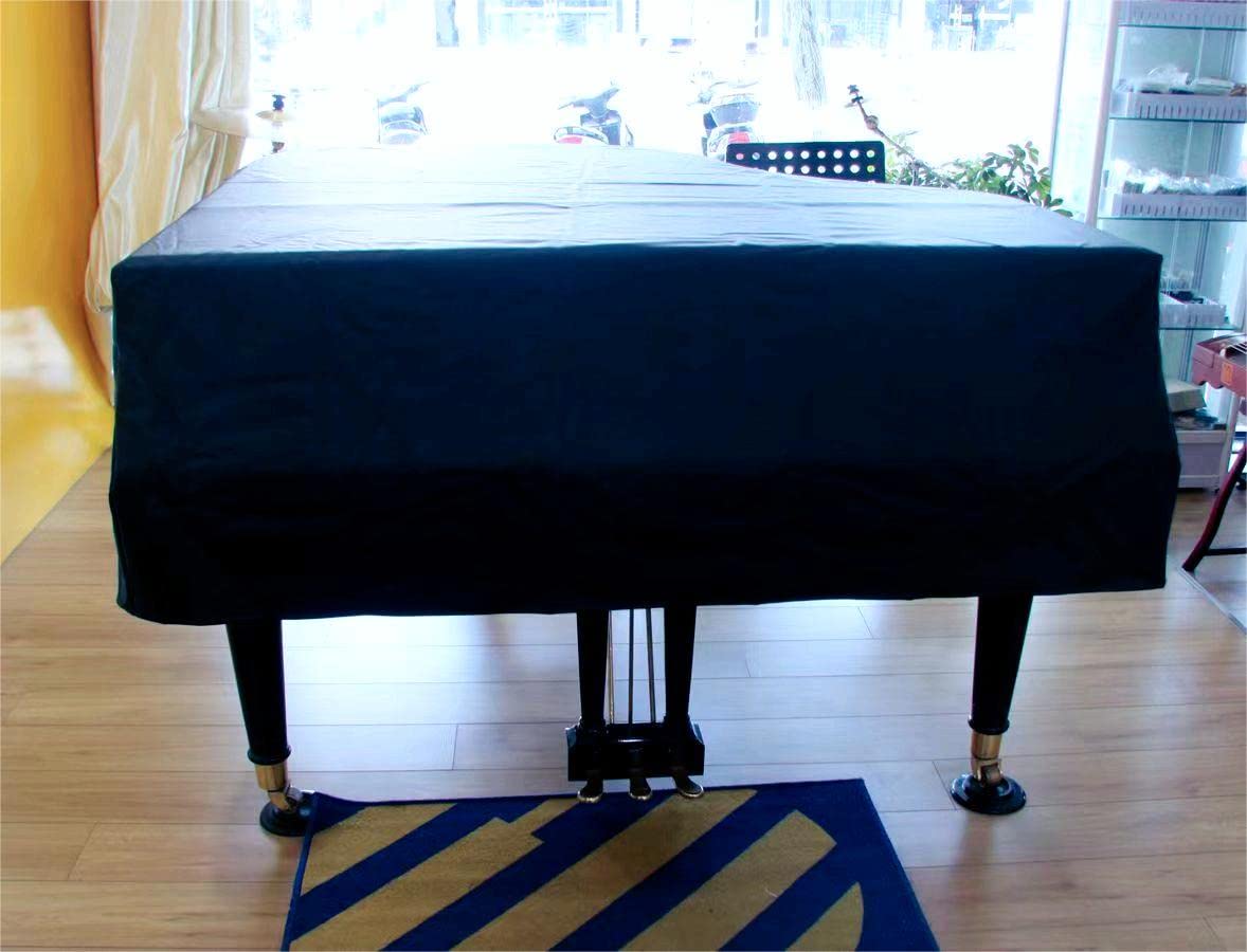 Copertura per pianoforte a coda impermeabile e umidità, doppia copertura antipolvere in pelle, antipolvere, antigraffio, copertura per pianoforte a coda (160 cm)