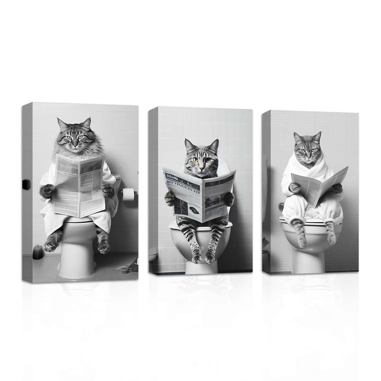 CXHOSTENT 3 Piece Animal Cat Sitting on Toilet Reading Newspaper Canvas Prints