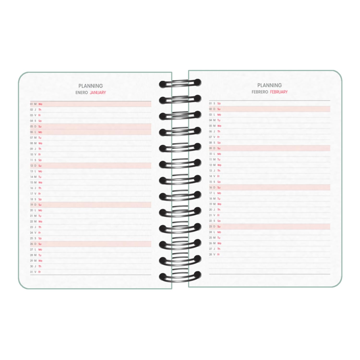 DOHE, School Diary 2025 2026, Day Page, Size A6 (12 x 17 cm), Spanish and English, September to June - Image 4