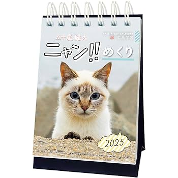 カレン様 リクエスト 5点 まとめ商品 Amazon.co.jp: 2025年 にゃん!!めくり/五十嵐健太 カレンダー No