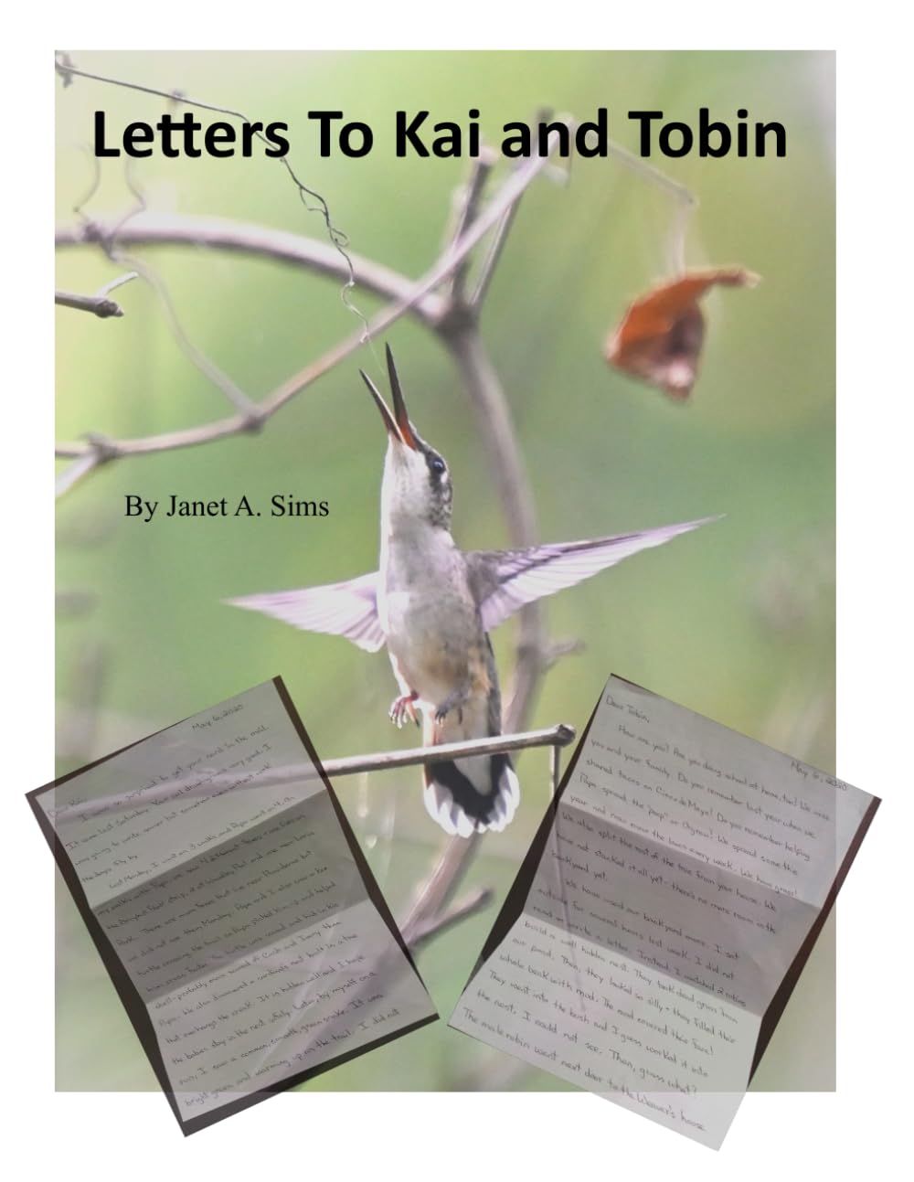 Letters To Kai and Tobin: Sims, Janet A., Sims, Ken: 9798878586269 ...