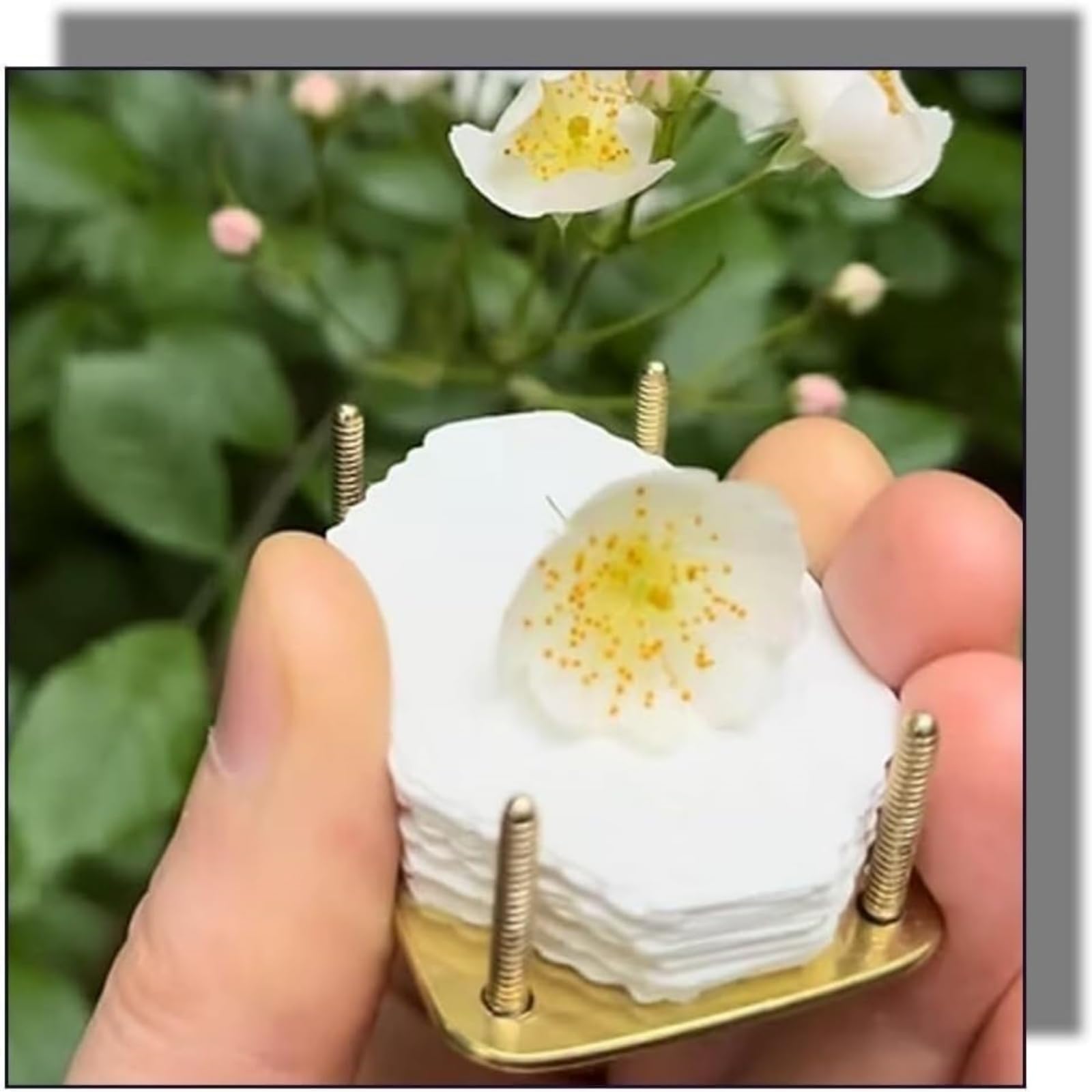 KFSOQE Micro Flower Press, Miniature Clover Leaf Flower Press Kit, DIY Pressed Flower Plant Preservation Kit Plants Art Crafts Metal Pressing Arts Craf 7 thumbnail image