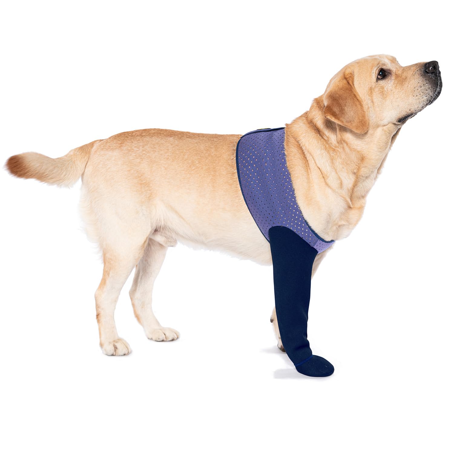 Photo 1 of COODEO Dog Socks to Prevent Licking Paws, Healing Boots & Paw Protectors with Non-Slip Bottoms for Wound Protection, Waterproof Sleeve Shoes for Licking?Purple?XL_Right
