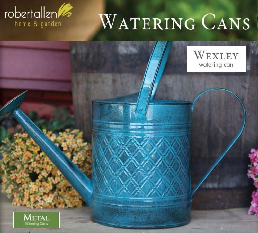 Robert Allen Home & Garden MPT01503 Robert Allen MPT011503 Wexley Metal, 2 Gallon, Mountain Waves 5 Gallon Watering can, 2 gal : Patio, Lawn & Garden