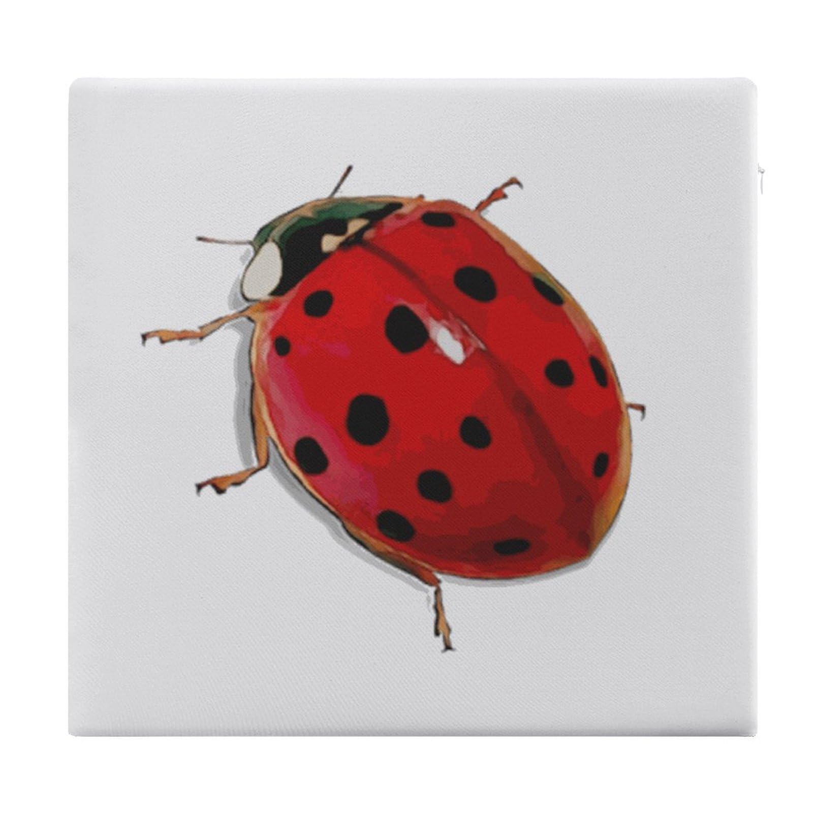 JZemdybill Chair Pad, Ladybird Cute Seat Pad, Square Chair Cushion for Yoga Living Room Balcony