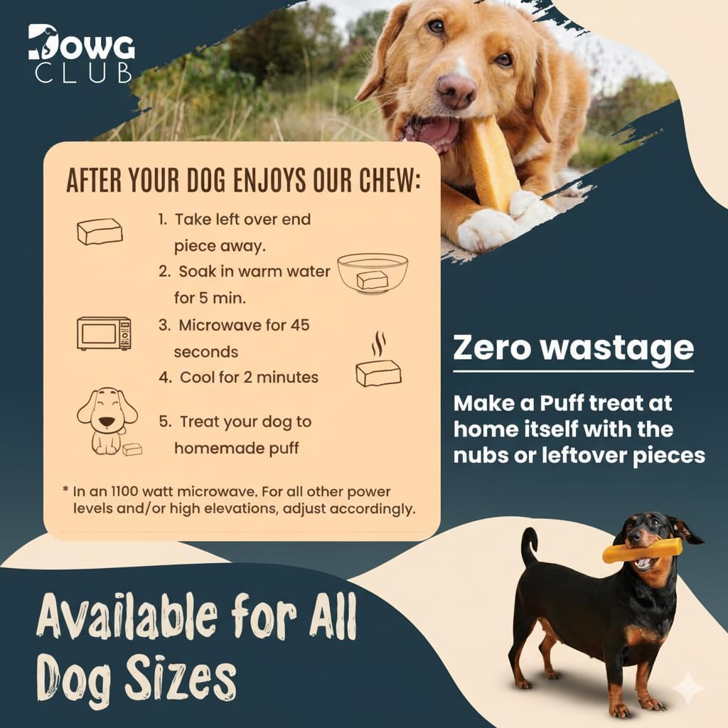 Himalayan Yak Cheese Dog Chews | Pack of 12 | Natural, Long-Lasting Treats for Aggressive Chewers, Odorless Yak Milk Chews for Dogs – Healthy, Protein-Rich (Small)