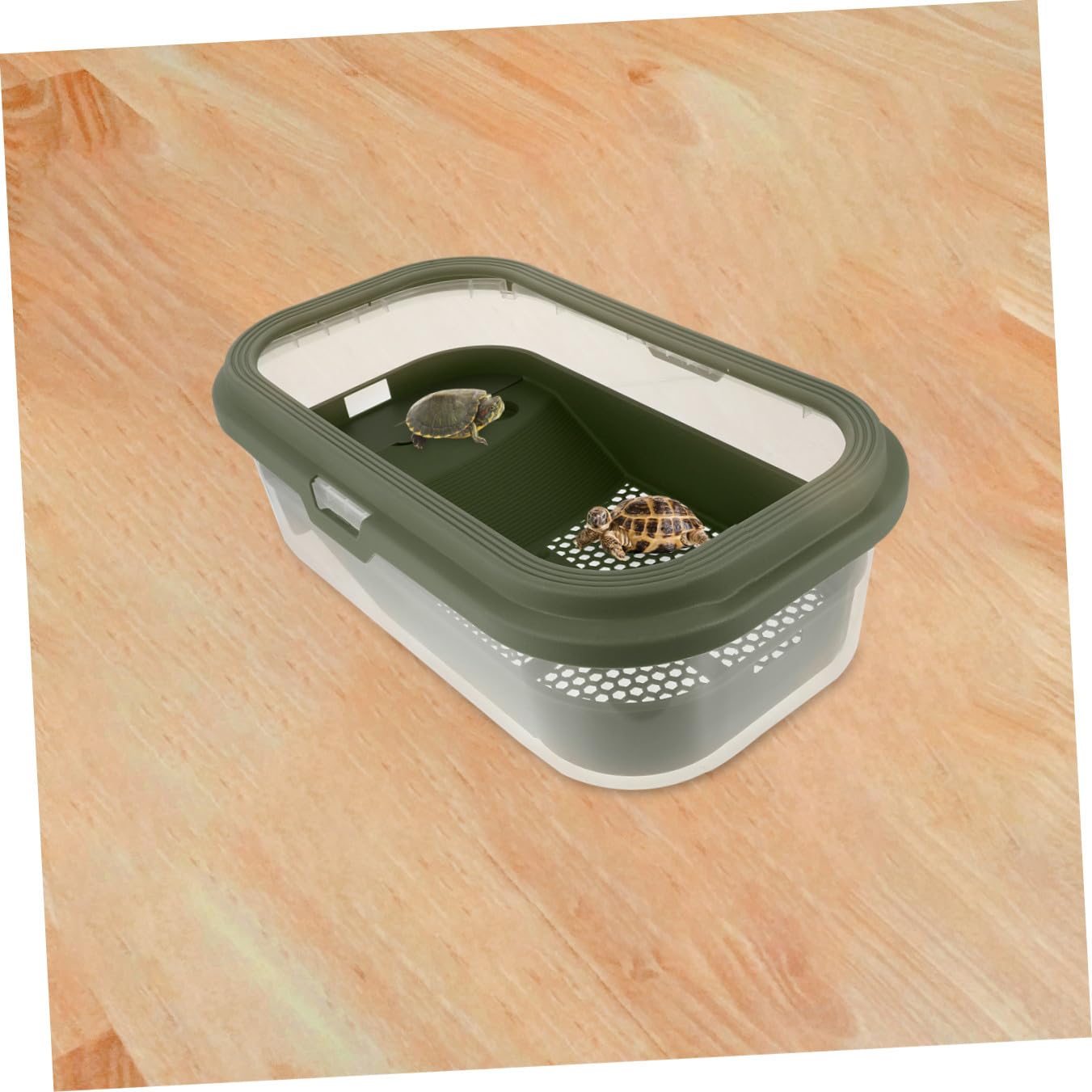 Aquarium pour Tortue avec Terrasse, Grand Modèle en Plastique Vert | Changement D’eau Intégré, Usage Simple et Nettoyage Facile, Design Créatif pour Reptile