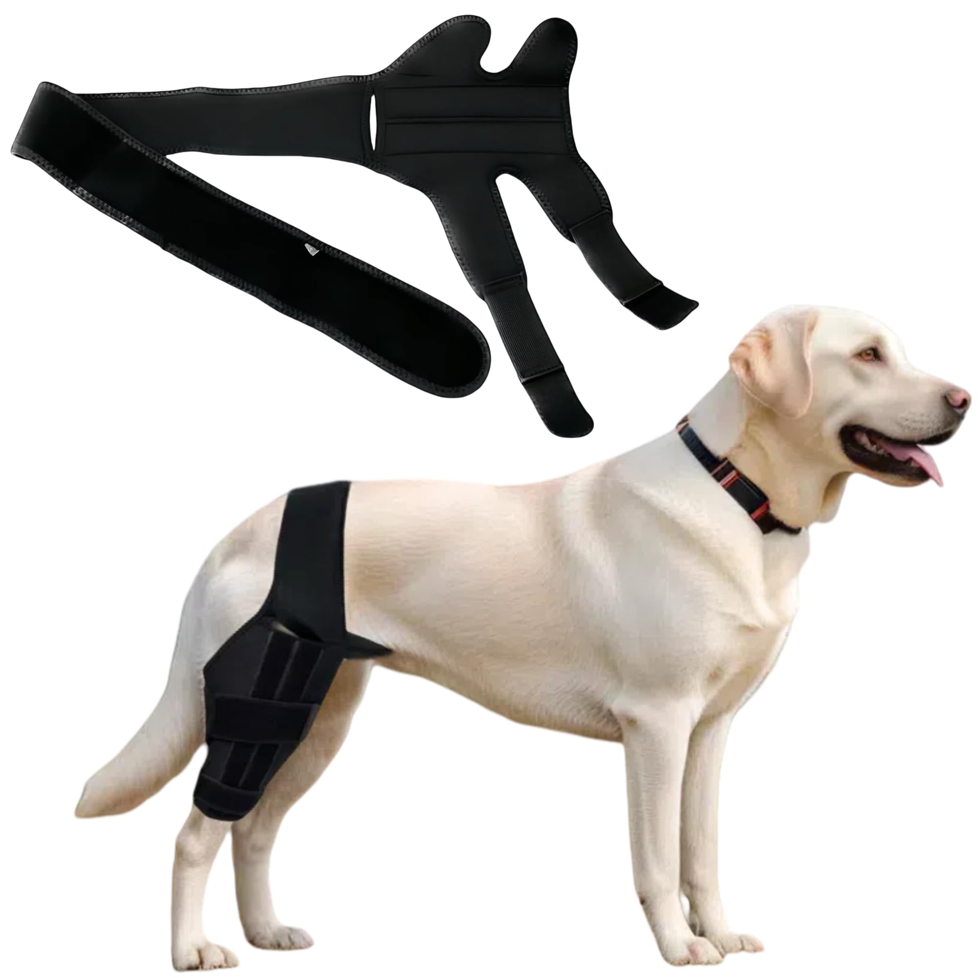 GOzephreal Dog Knee Brace Dog Wound Heal Dog Elbow Protector Dog Elbow Callus Treatment for Arthritis Pain Relief Ligament Injuries Shoulder