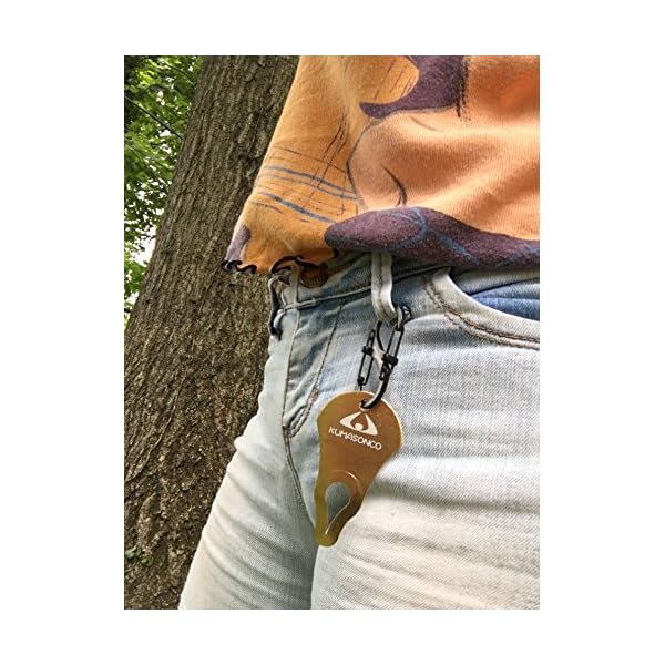 Tick Removal Key Tick Removal Key