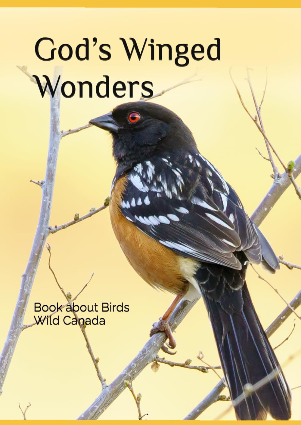 God’s Winged Wonders: Book about Birds Wild Canada