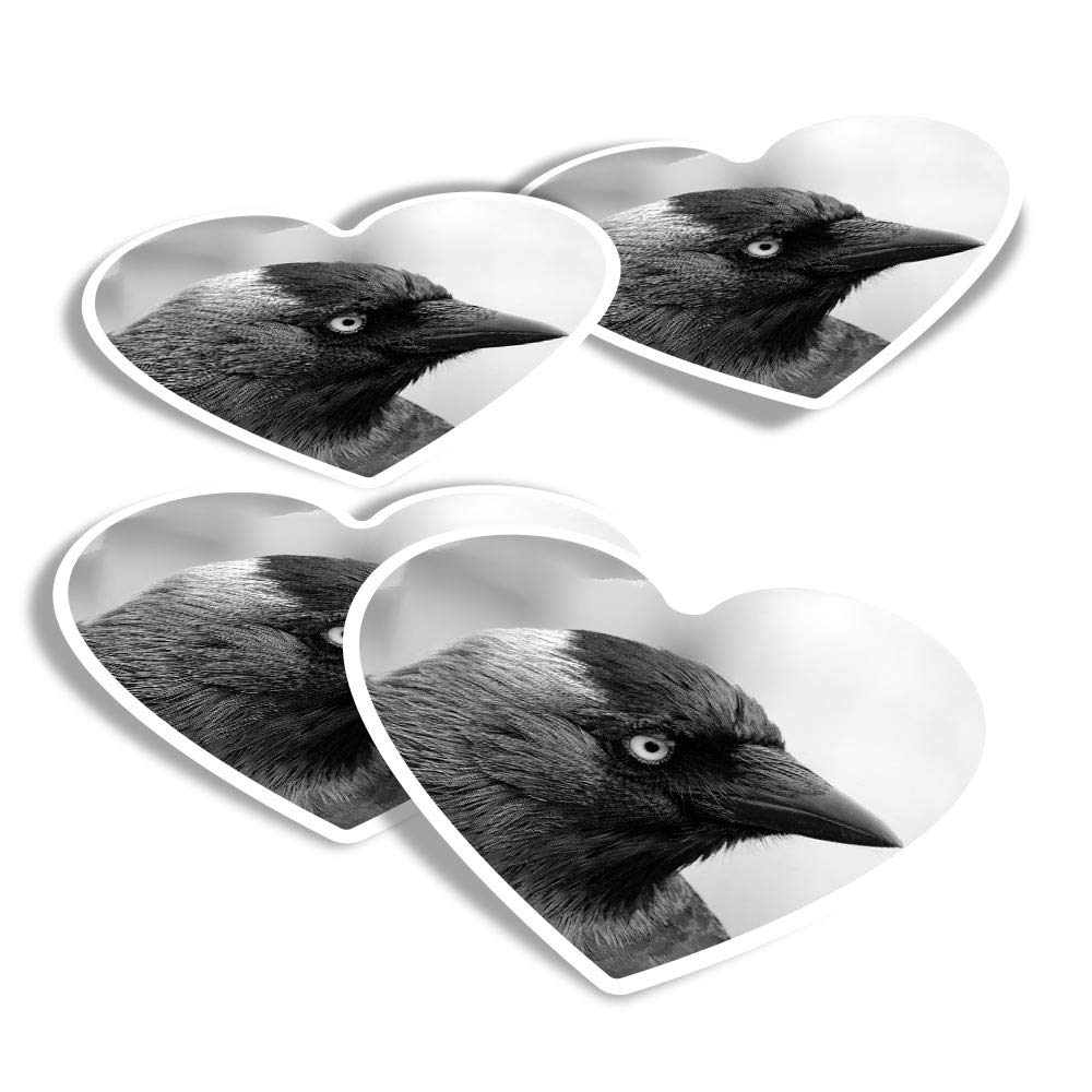 Destination Vinyl Ltd Multi Vinyl Heart Stickers (Set Of 4) - Bw - Jackdaw Bird Black Bird Fun Decals For Laptops,Tablets,Luggage,Scrap Booking,Fridges #43068