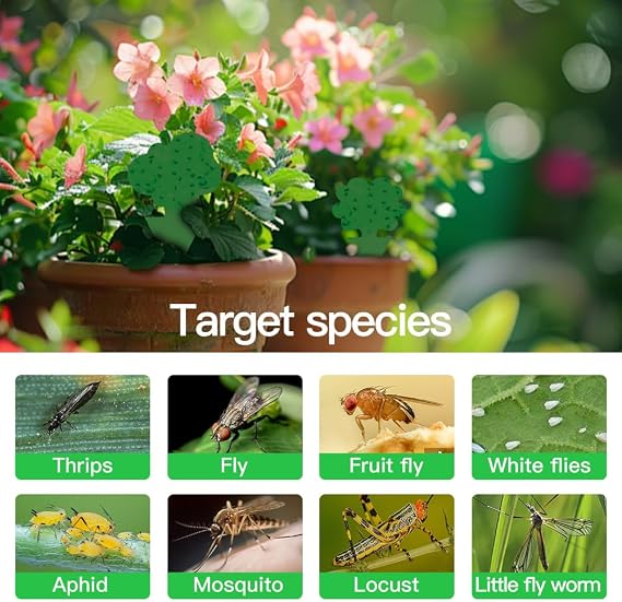 58 Pack Gnat Killer Sticky Traps for Plants - Green Fungus Gnat Sticky Trap for Indoor Houseplants, Fruit Flies, Whiteflies, Aphids - Family Friendly Design, Flower and Cloud Shapes