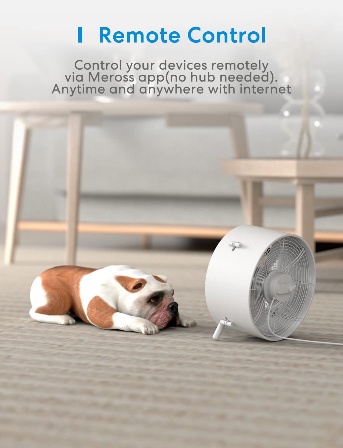 3dRose 3DRose Sweetzel - Typography - Soak up the Sun Text - Light Switch Covers (lsp-388419-6)